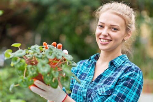 Healthy green lawn care in Kew with tidy edging and fresh turf