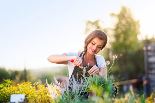 Gardening tools and green waste beside a maintained garden area