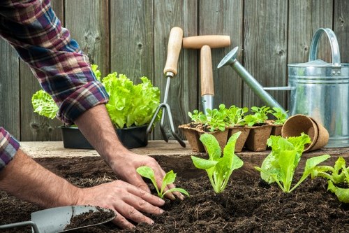 Professional lawn mowing in Kew for a tidy backyard