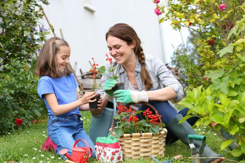 Professional lawn care in Kew improving shaded suburban grass