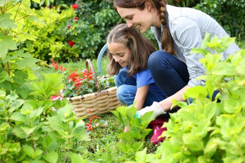 Routine lawn maintenance in Kew with mowing, fertilising, and weed control