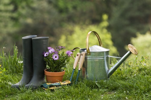 Garden clearance work in Kew with overgrown waste being removed