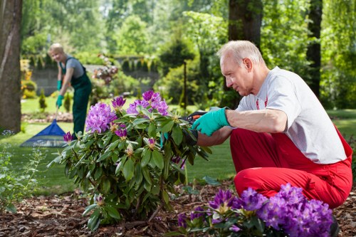 Accessible Kew gardening content displayed with clear structure