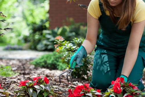 Commercial garden upkeep and landscape care in Kew