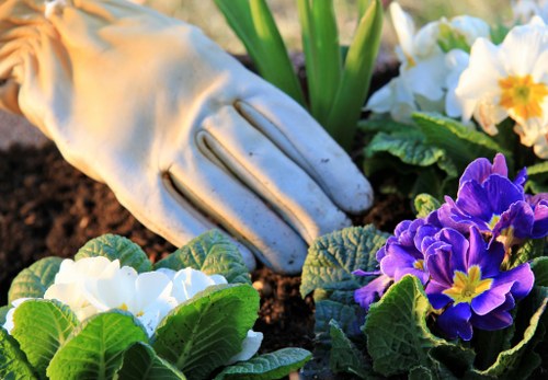 Gardeners Kew maintaining a lush and elegant outdoor space
