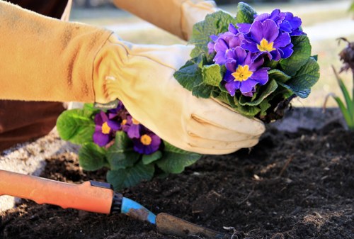 Example gardening job pricing for Kew homes and courtyards