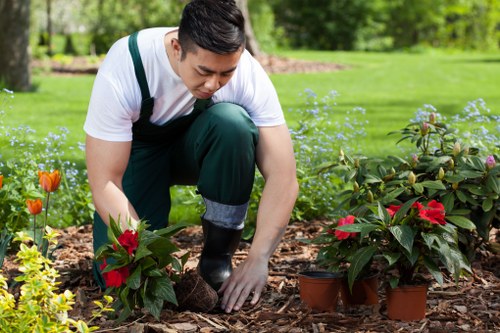 Garden maintenance work in a Kew garden with shrubs and lawn