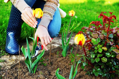 Discussing a complaint resolution for a garden maintenance issue