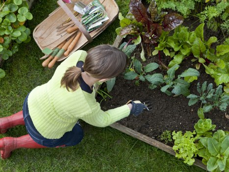Front fence design improving street appeal in Kew