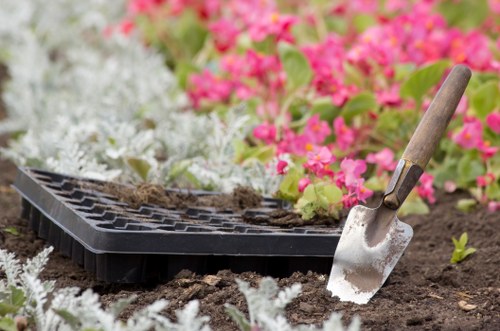 Safe tree removal and stump grinding in Kew