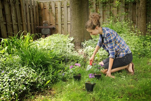 Beautifully maintained garden in Kew with expert horticultural care