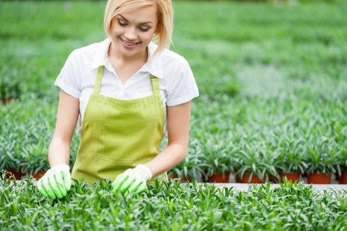 Local gardener pruning plants and caring for a Kew property