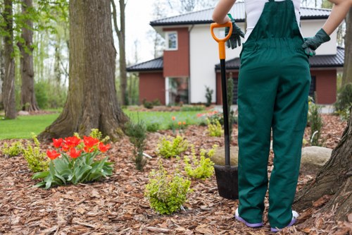 Inclusive accessibility statement for local gardeners in Kew
