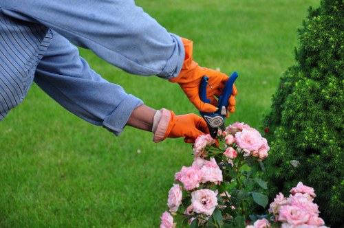 Seasonal lawn care in Kew for a neat and even backyard lawn