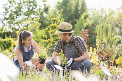 Lawn mowing and routine garden care in Kew outdoor space