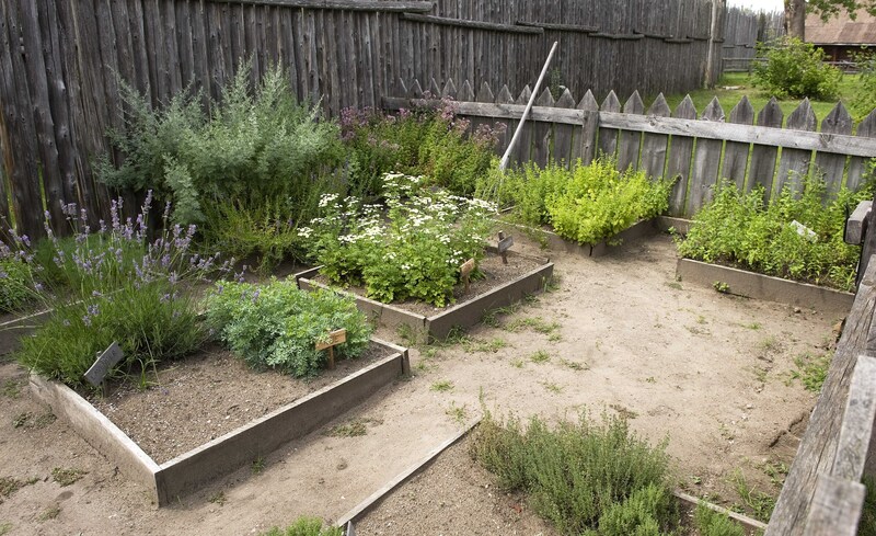 garden design garden care
