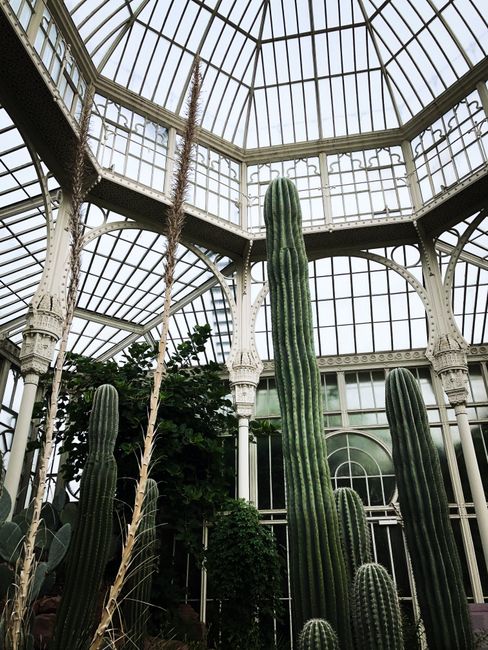 Avoid hidden costs for gardeners in Kew what to know