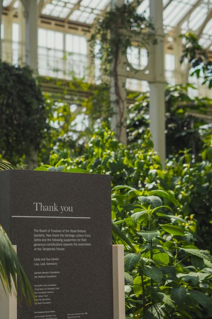 Inside a large glass conservatory with a domed roof, tall green cacti and other lush foliage grow against the intricate white metal framework and glass panels. The cacti vary in height and shape, with